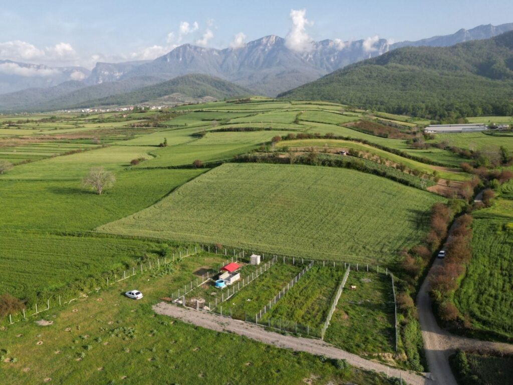 فروش زمین باغی 2500متری جهاد مرکزی