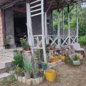 فروش زمین باغی 600متری نصرآباد