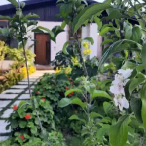 فروش ویلایی 308متری به سبک مراکشی ویلاشهر