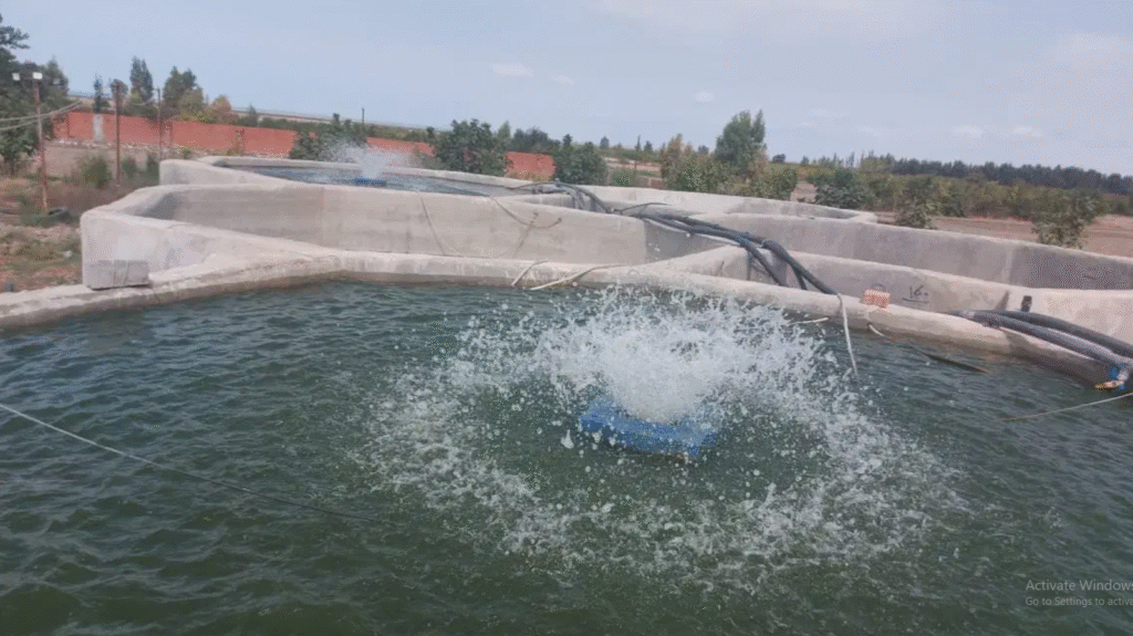 فروش و معاوضه پرورش ماهی