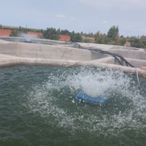 فروش و معاوضه پرورش ماهی