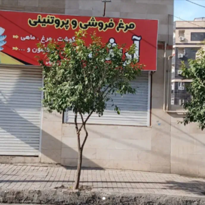 اجاره مغازه 65متری ویلاشهر