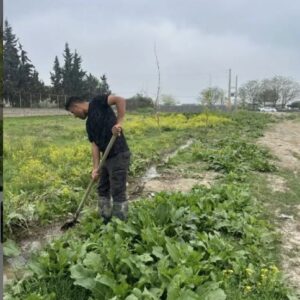 فروش زمین ۲۵۰ متری جهاد مرکزی